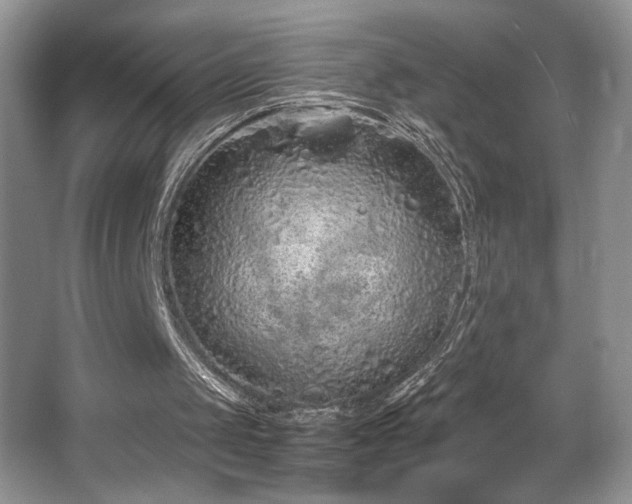 X0000067940049200604131459