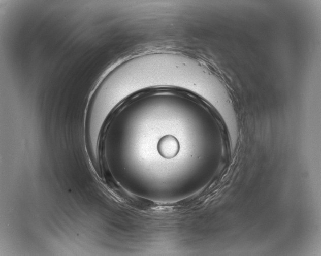 X0000067940052200604131459