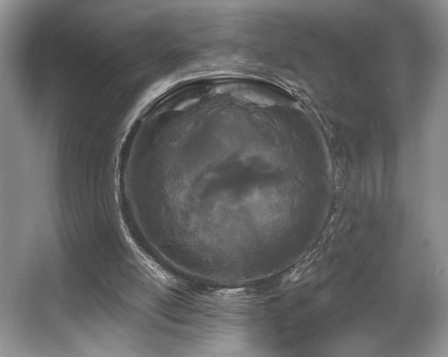X0000067940054200604131459