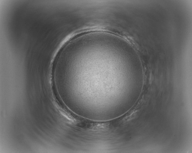 X0000067940056200604131459