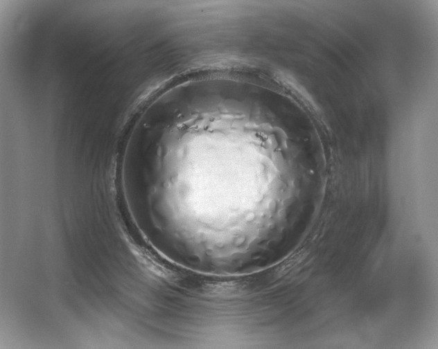 X0000067940058200604131459