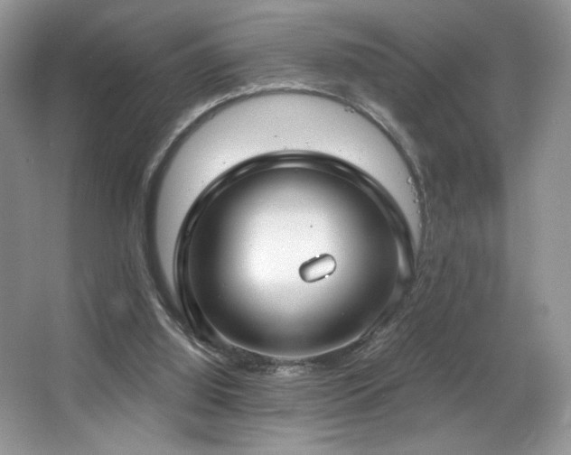 X0000067940060200604131459