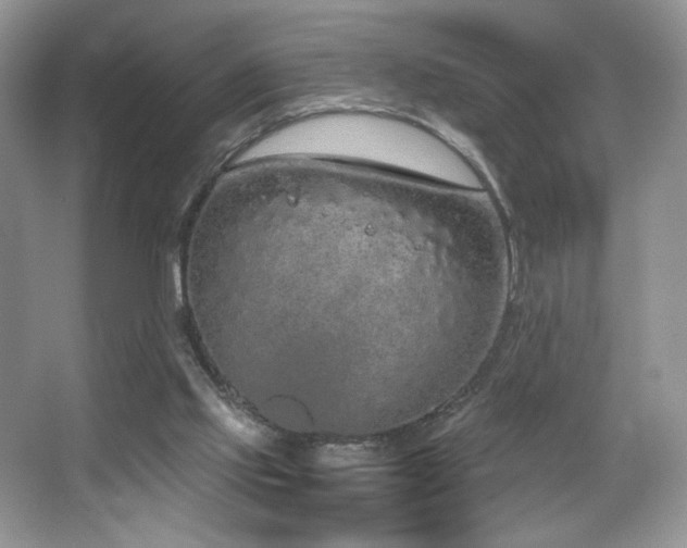 X0000067940061200604131459