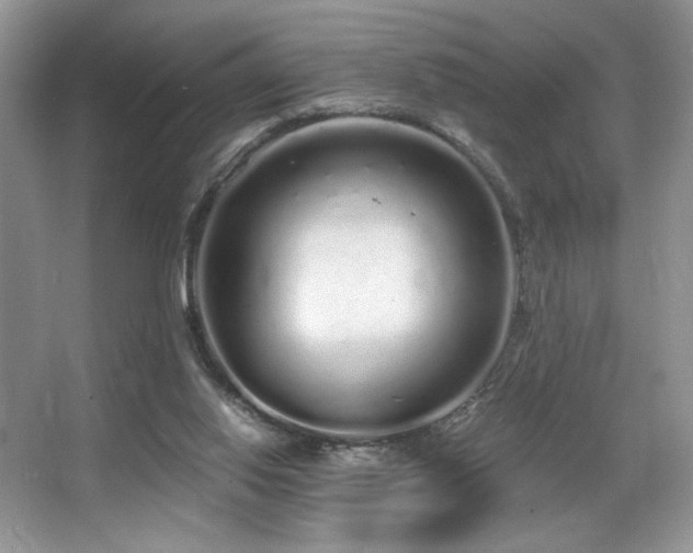 X0000067940062200604131459