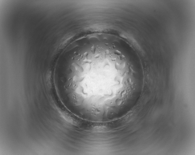 X0000067940066200604131459