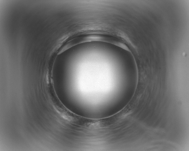 X0000067940068200604131459
