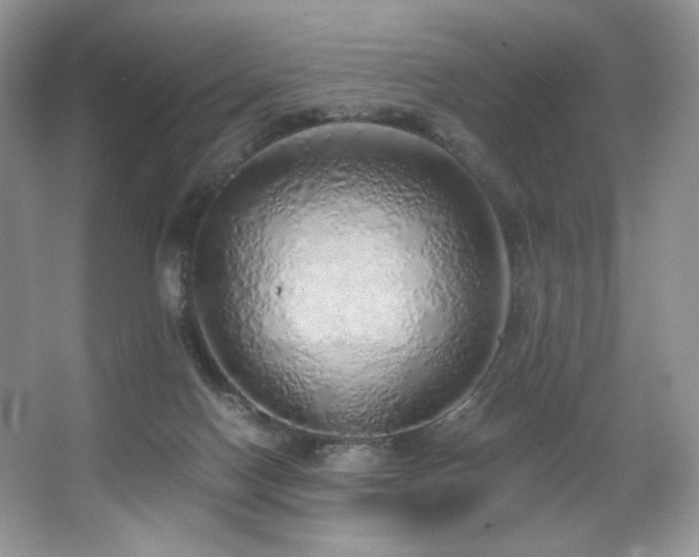 X0000067940074200604131500