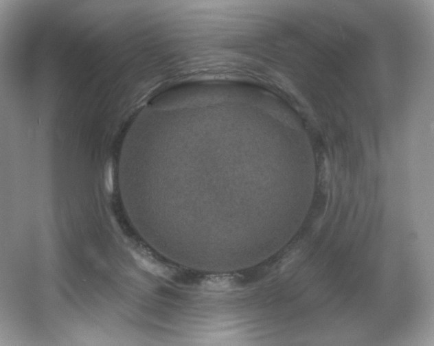X0000067940076200604131500