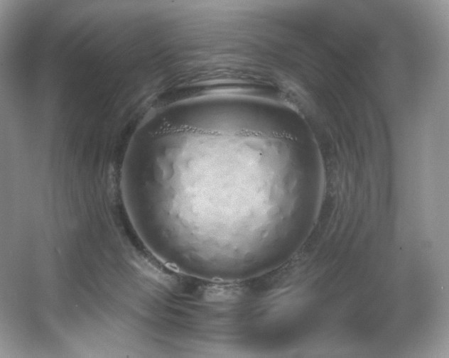 X0000067940077200604131500