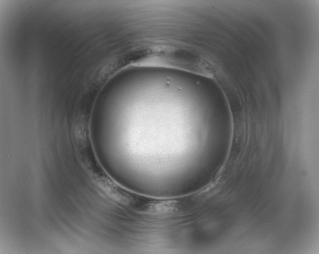 X0000067940078200604131500