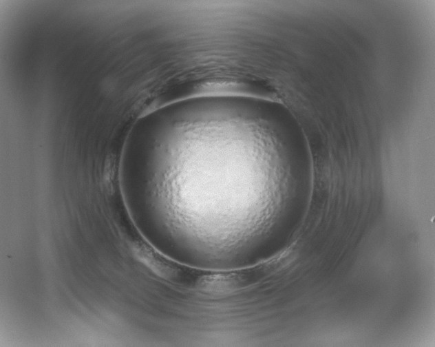 X0000067940082200604131500