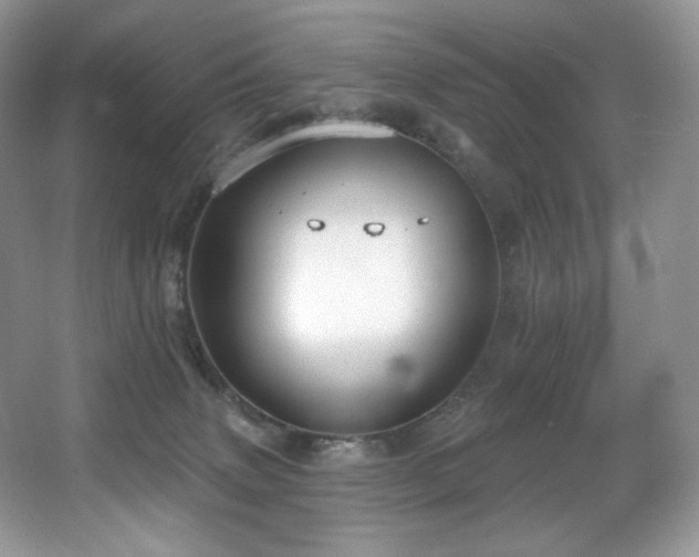 X0000067940083200604131500