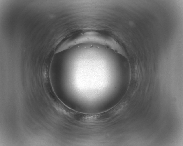 X0000067940084200604131500