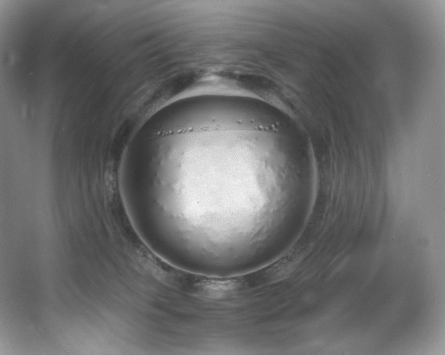 X0000067940085200604131500