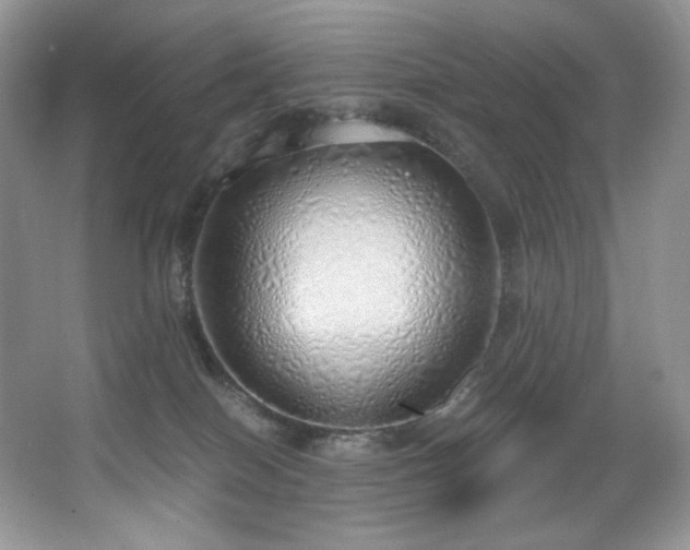 X0000067940086200604131500