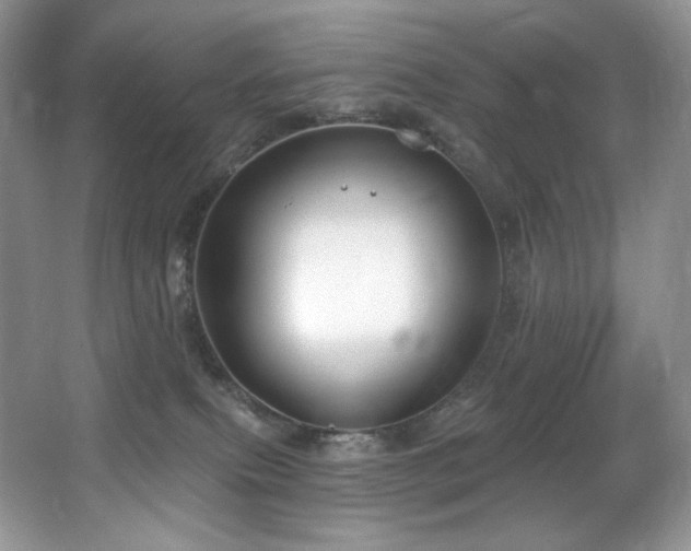 X0000067940087200604131500
