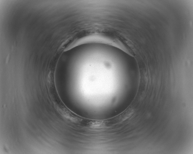 X0000067940088200604131500