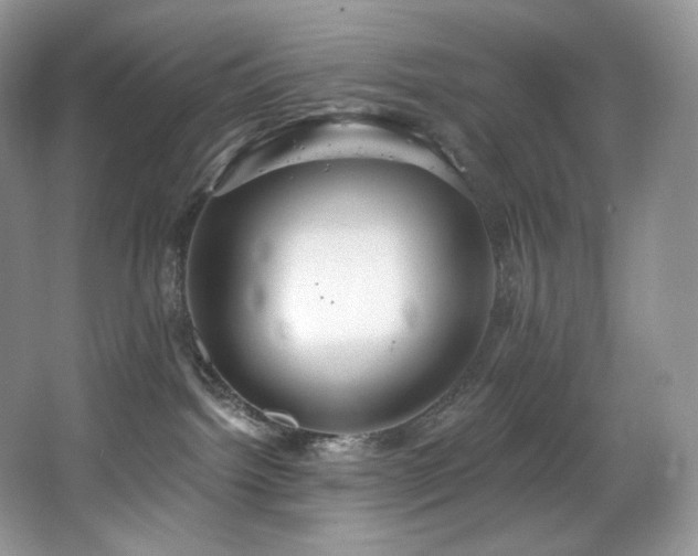 X0000067940092200604131500