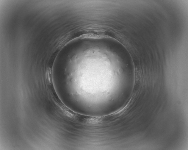 X0000067940094200604131500