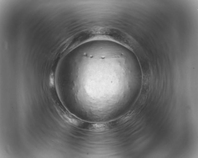 X0000067940095200604131500