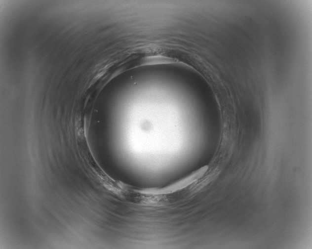X0000067940096200604131500