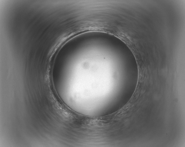X0000067940098200604131459