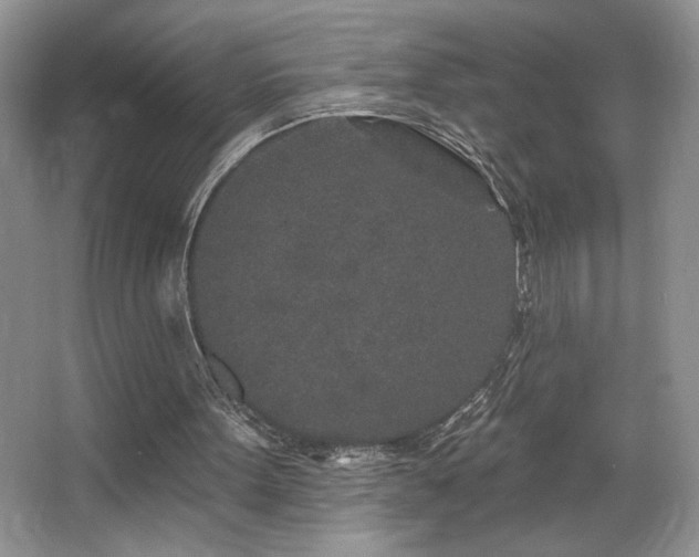 X0000067940099200604131459