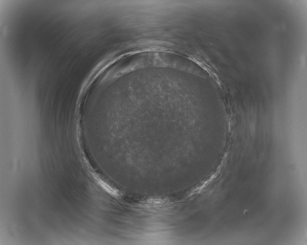 X0000067940101200604131459