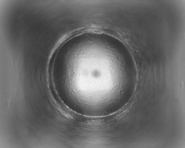 X0000067940102200604131459