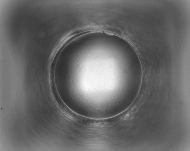 X0000067940103200604131459