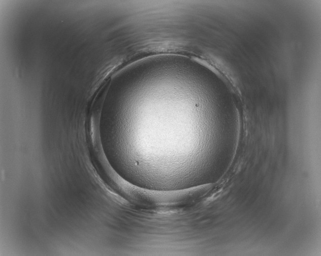 X0000067940105200604131459