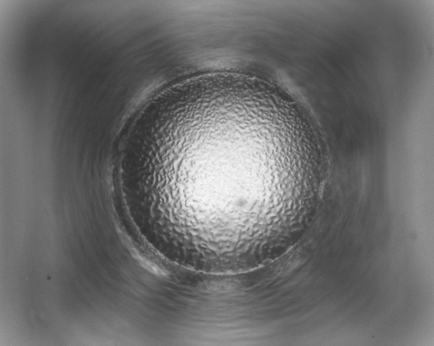 X0000067940106200604131459