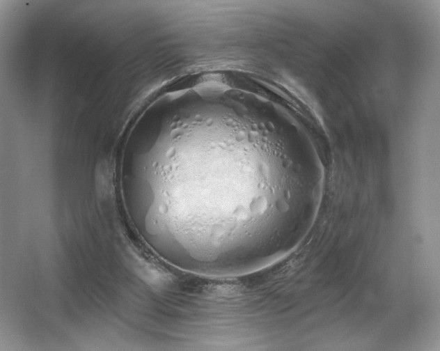 X0000067940107200604131459