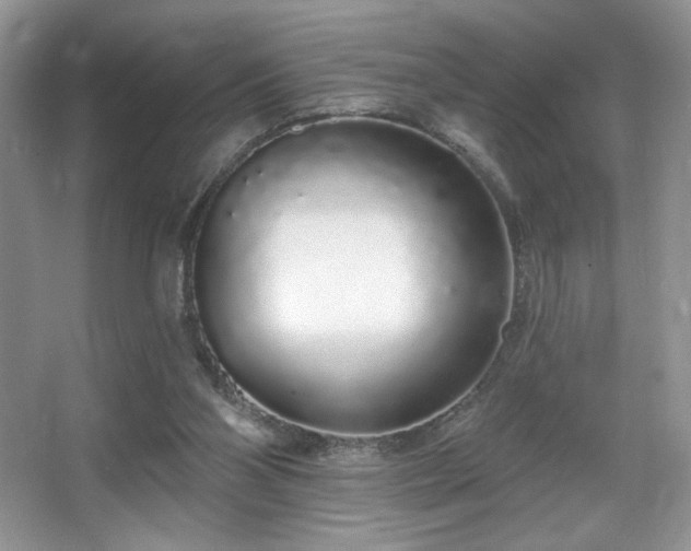 X0000067940110200604131459
