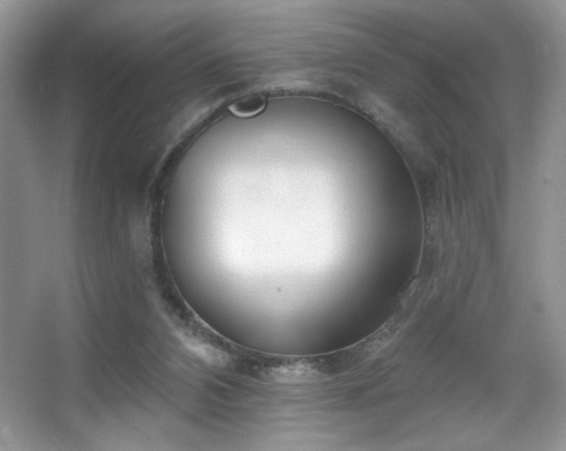 X0000067940112200604131459