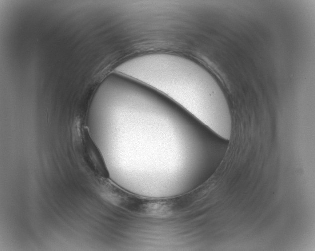 X0000067940117200604131459
