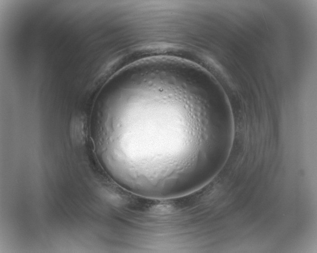 X0000067940119200604131459