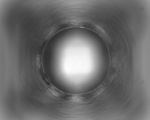 X0000067940121200604131459