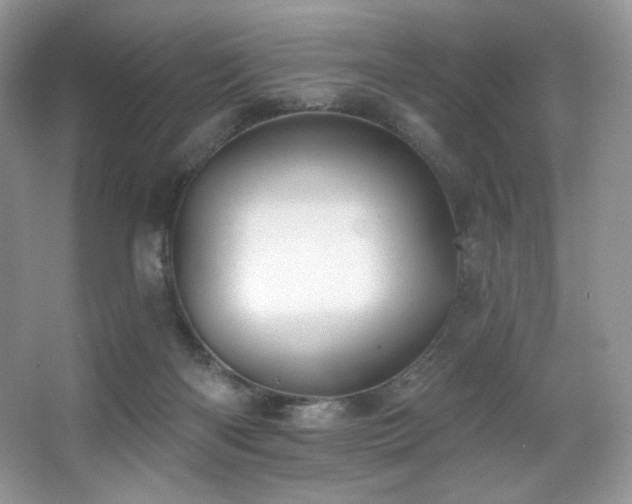 X0000067940122200604131459