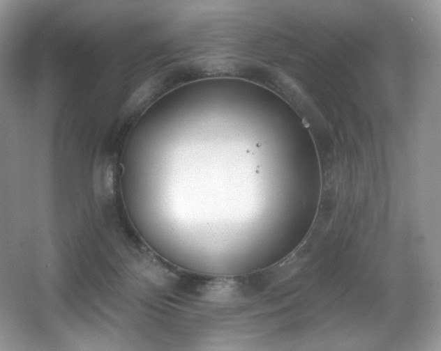 X0000067940124200604131459
