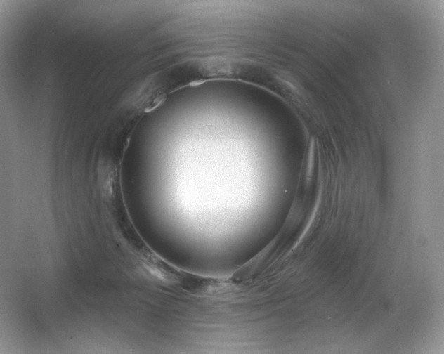 X0000067940125200604131459