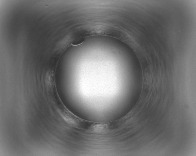 X0000067940126200604131459