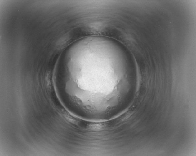 X0000067940131200604131459