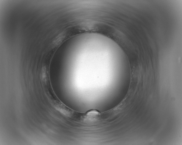 X0000067940132200604131458