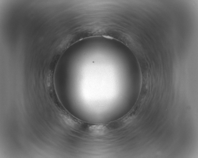 X0000067940133200604131458