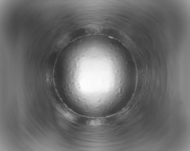 X0000067940134200604131458
