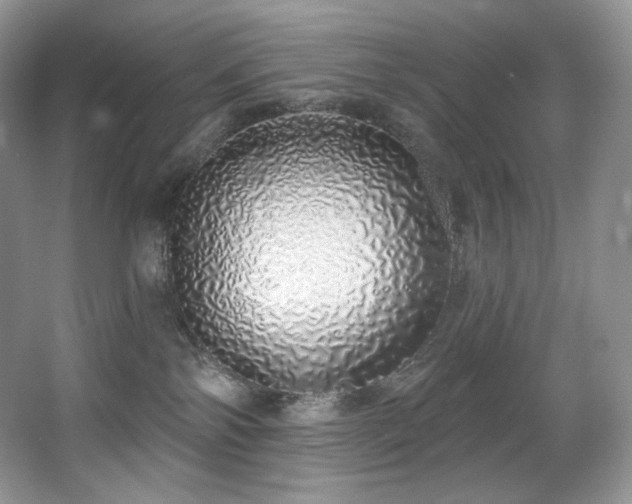 X0000067940138200604131458