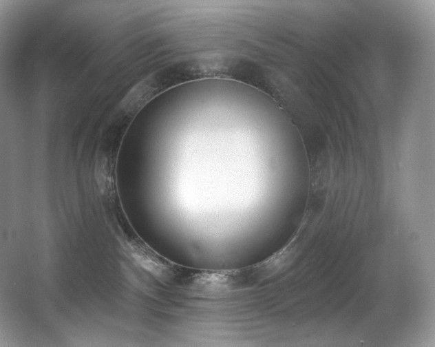 X0000067940140200604131458
