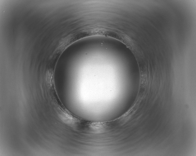X0000067940142200604131458