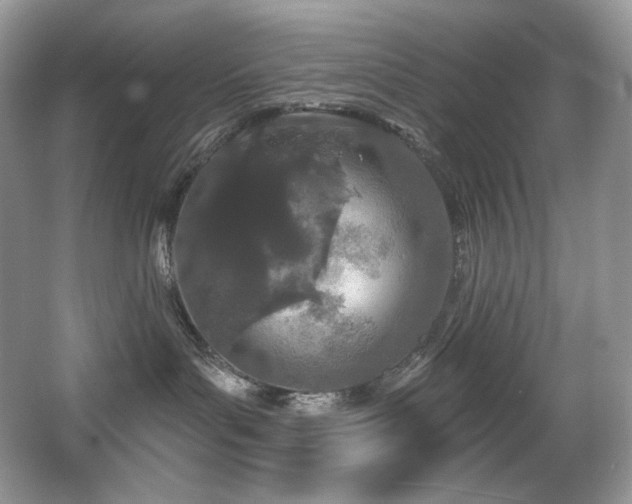 X0000067940143200604131458